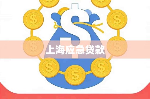上海应急贷款