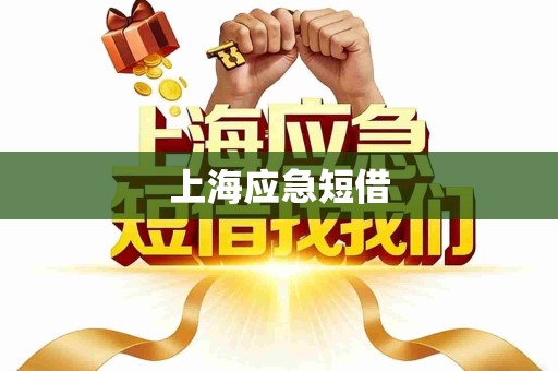 上海应急短借