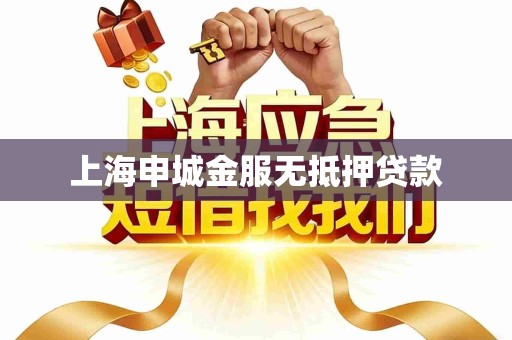 上海申城金服无抵押贷款
